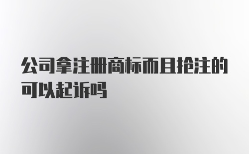 公司拿注册商标而且抢注的可以起诉吗