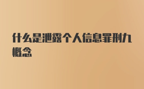 什么是泄露个人信息罪刑九概念