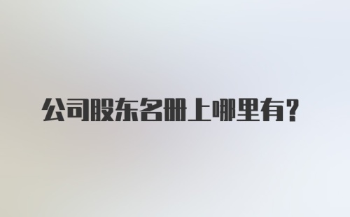 公司股东名册上哪里有？