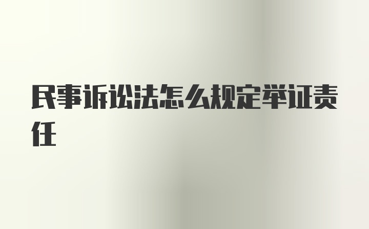 民事诉讼法怎么规定举证责任