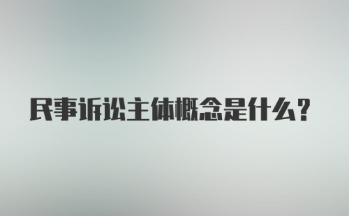 民事诉讼主体概念是什么？