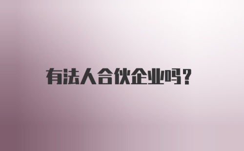 有法人合伙企业吗？