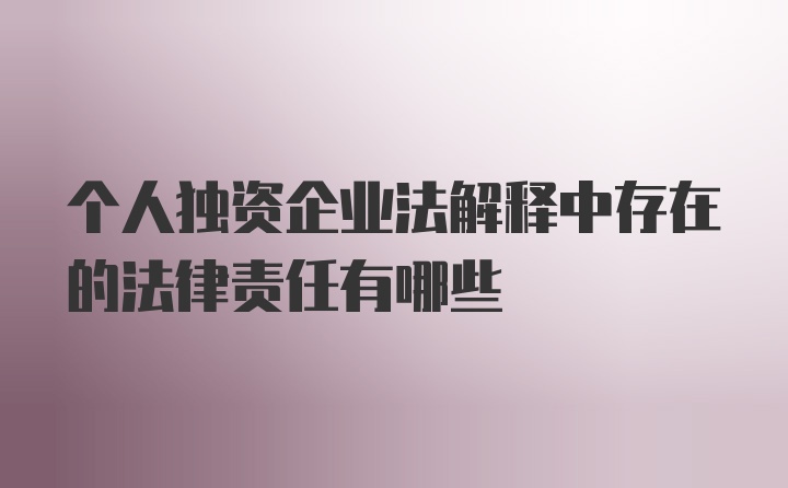 个人独资企业法解释中存在的法律责任有哪些