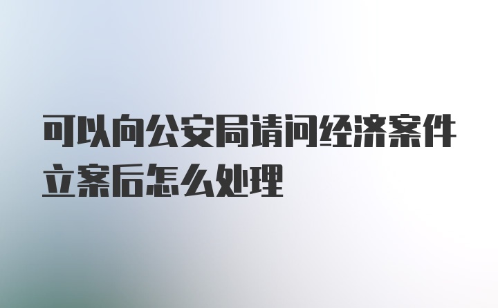 可以向公安局请问经济案件立案后怎么处理