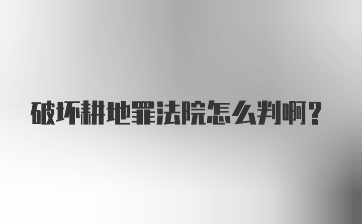 破坏耕地罪法院怎么判啊?