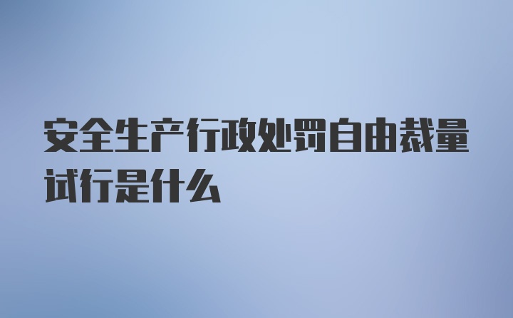 安全生产行政处罚自由裁量试行是什么