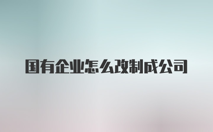 国有企业怎么改制成公司