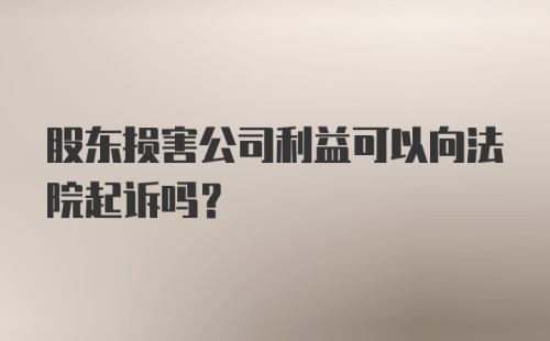 股东损害公司利益可以向法院起诉吗？