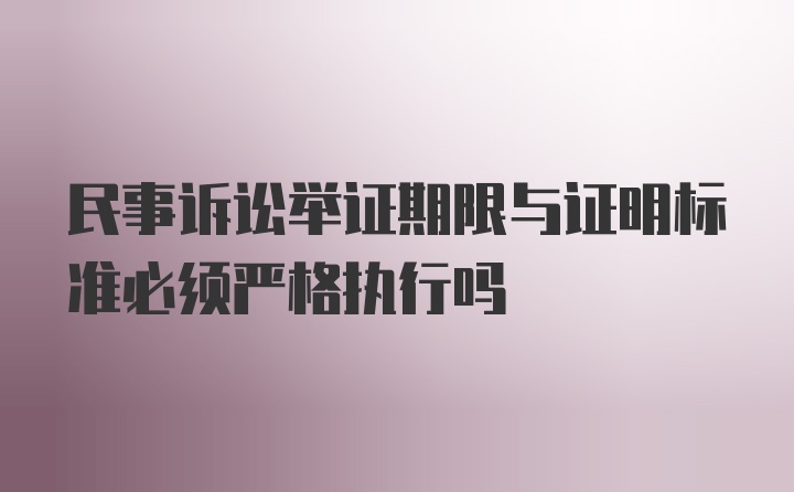 民事诉讼举证期限与证明标准必须严格执行吗