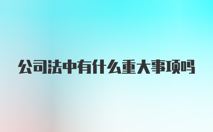 公司法中有什么重大事项吗