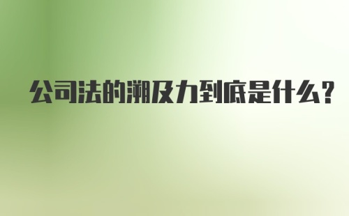 公司法的溯及力到底是什么？