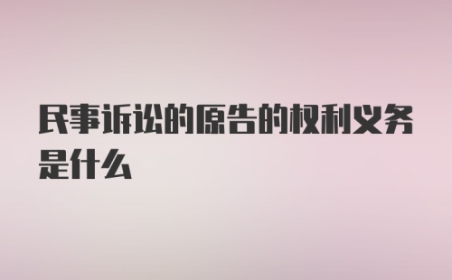 民事诉讼的原告的权利义务是什么