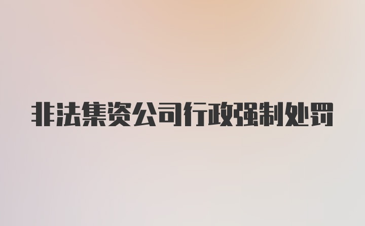 非法集资公司行政强制处罚