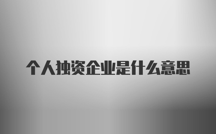 个人独资企业是什么意思