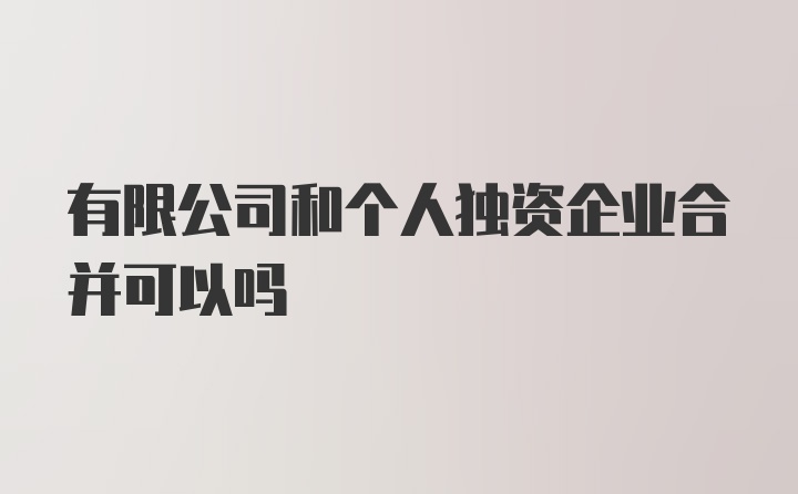 有限公司和个人独资企业合并可以吗