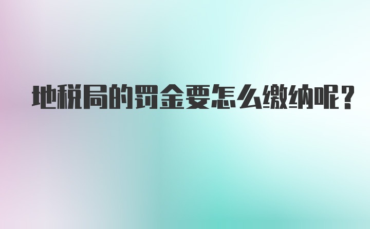 地税局的罚金要怎么缴纳呢？