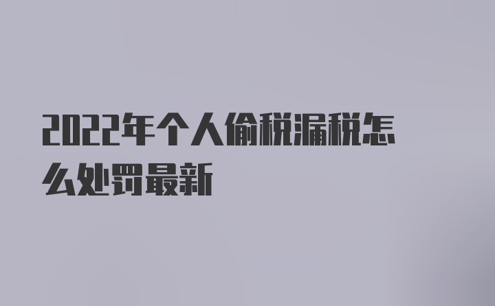 2022年个人偷税漏税怎么处罚最新