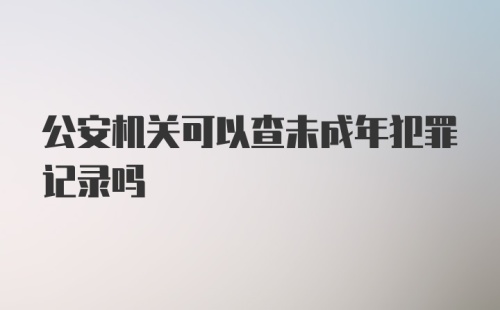 公安机关可以查未成年犯罪记录吗