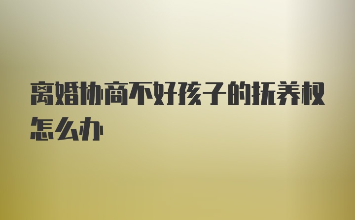 离婚协商不好孩子的抚养权怎么办