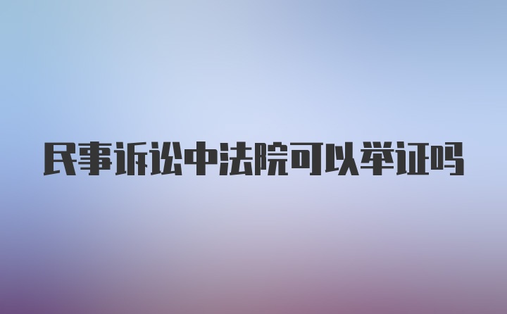 民事诉讼中法院可以举证吗