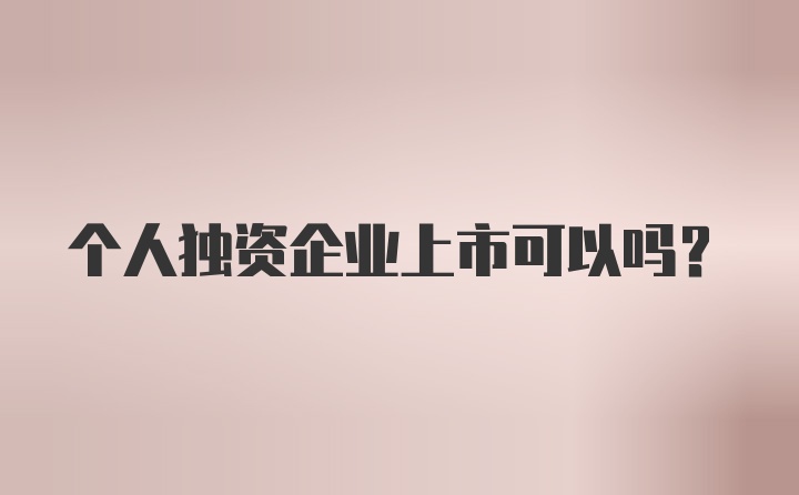 个人独资企业上市可以吗？