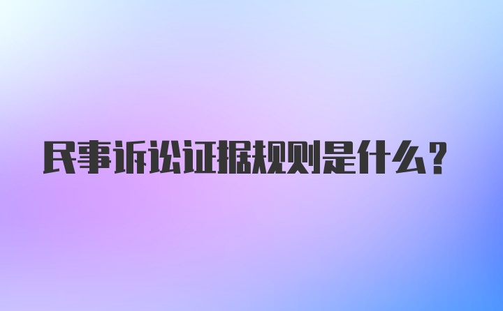 民事诉讼证据规则是什么？