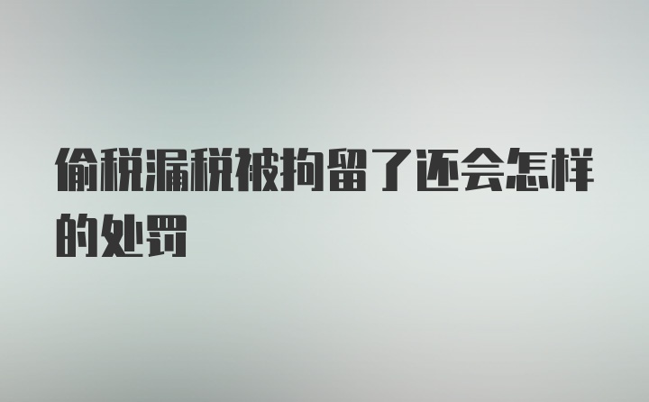 偷税漏税被拘留了还会怎样的处罚