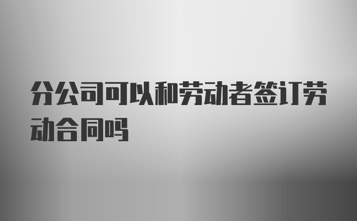 分公司可以和劳动者签订劳动合同吗