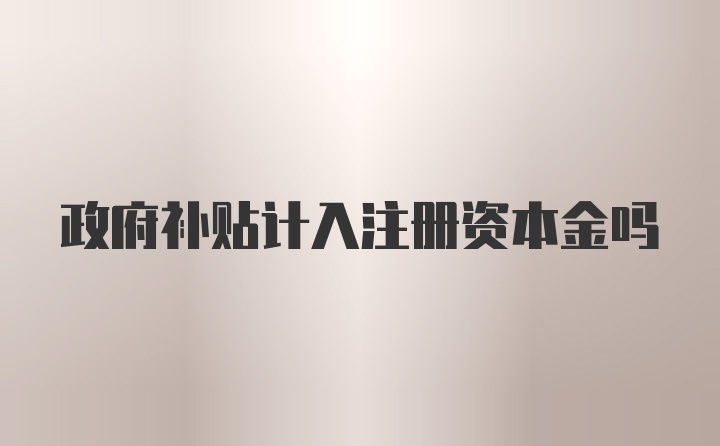 政府补贴计入注册资本金吗