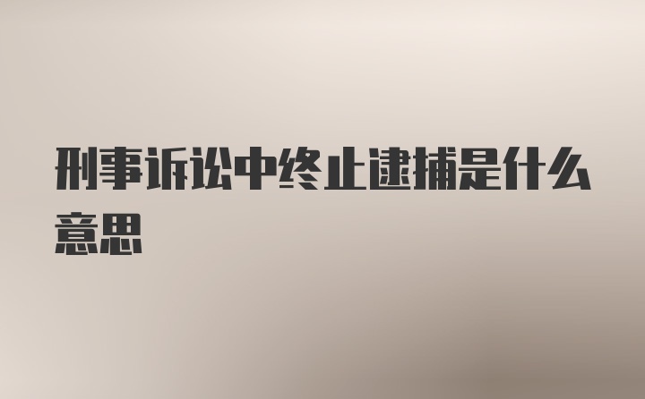 刑事诉讼中终止逮捕是什么意思