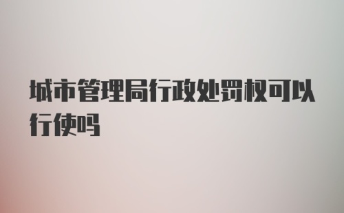 城市管理局行政处罚权可以行使吗