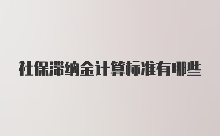 社保滞纳金计算标准有哪些