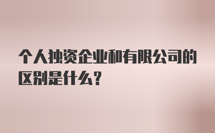 个人独资企业和有限公司的区别是什么？