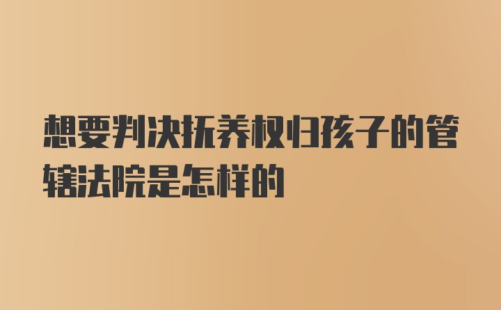 想要判决抚养权归孩子的管辖法院是怎样的