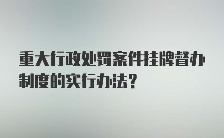 重大行政处罚案件挂牌督办制度的实行办法？