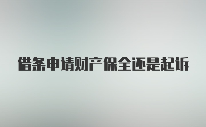 借条申请财产保全还是起诉