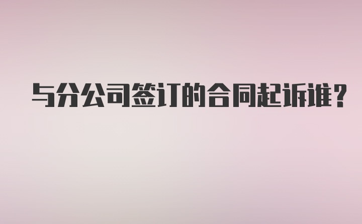 与分公司签订的合同起诉谁?