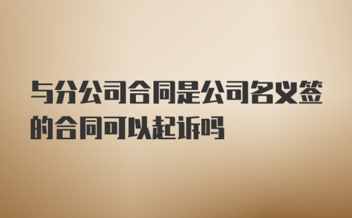 与分公司合同是公司名义签的合同可以起诉吗