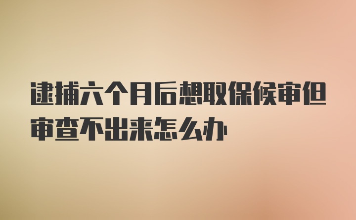 逮捕六个月后想取保候审但审查不出来怎么办