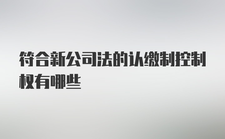 符合新公司法的认缴制控制权有哪些