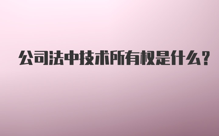 公司法中技术所有权是什么？