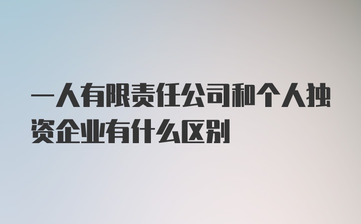 一人有限责任公司和个人独资企业有什么区别