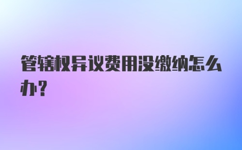 管辖权异议费用没缴纳怎么办？