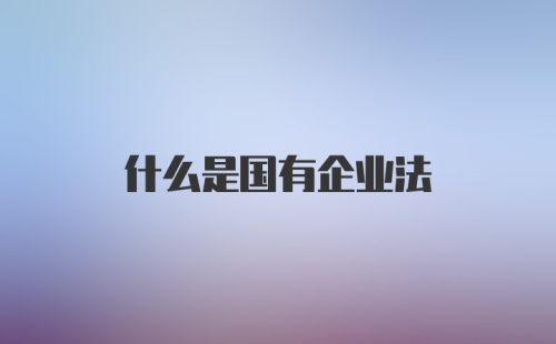 什么是国有企业法