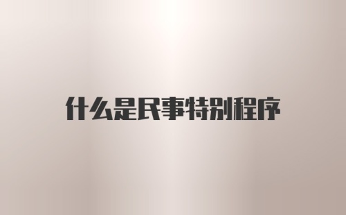 什么是民事特别程序