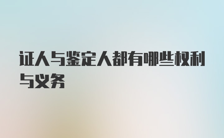 证人与鉴定人都有哪些权利与义务