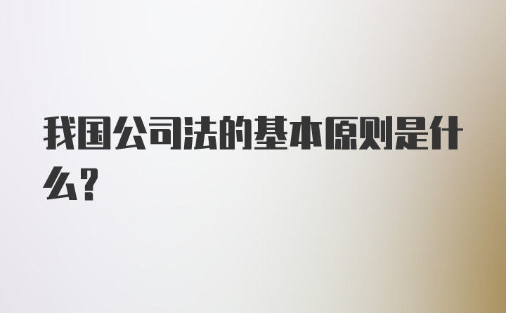 我国公司法的基本原则是什么?