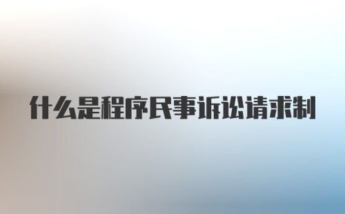 什么是程序民事诉讼请求制