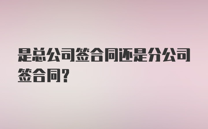 是总公司签合同还是分公司签合同？