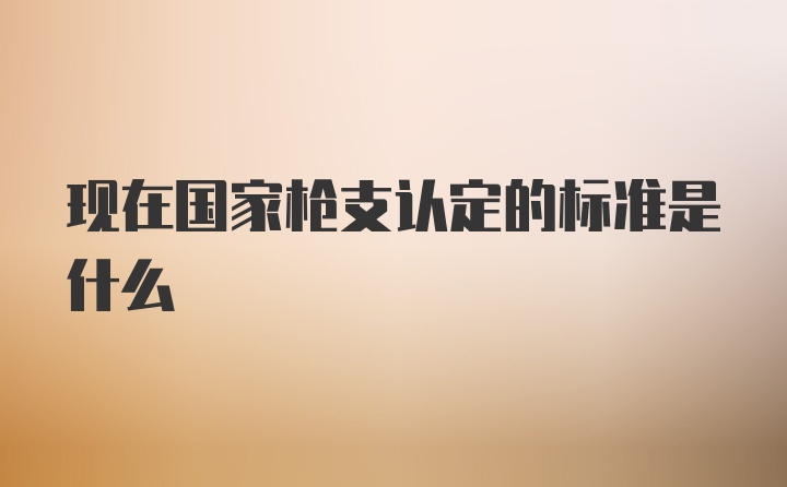 现在国家枪支认定的标准是什么